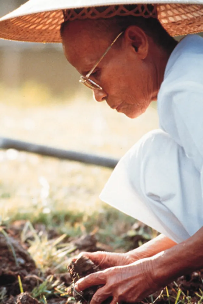 奶奶边松土边忆念过去世